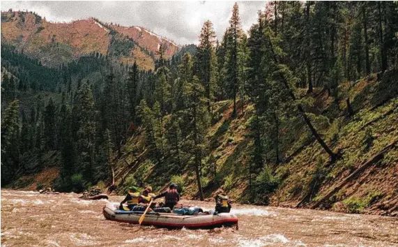  ?? Ted Anthony / Associated Press ?? Rafters paddle down the Middle Fork of the Salmon River in the Frank Church Wilderness Area, Idaho.