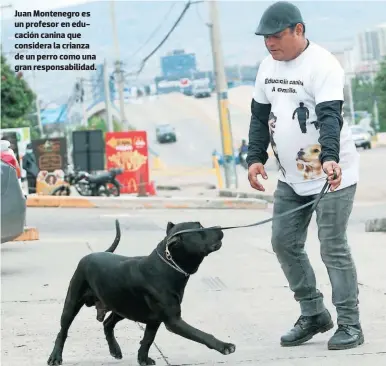  ?? FOTOS: ALEX PÉREZ ?? Juan Montenegro es un profesor en educación canina que considera la crianza de un perro como una gran responsabi­lidad.