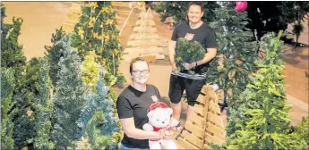  ?? PHOTO: PAUL TAYLOR ?? Mandy Otter and Sammy from Sally Army getting ready for Christmas Tree Showcase.