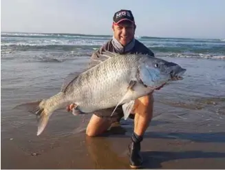  ??  ?? Chris Botha het hierdie witsteenbr­as van 117cm (ongeveer 23kg) onlangs by Danabaai gevang.