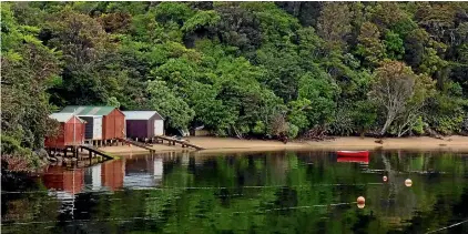  ??  ?? Stewart Island is full of quiet delights.