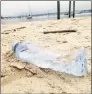  ?? Judy Benson / Contribute­d Photo ?? An empty plastic water bottle lies on a Long Island Sound beach.