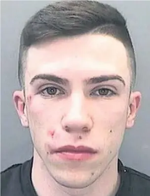  ??  ?? Dylan Levi Seaton, from Llwydcoed, has been jailed