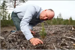  ?? FOTO: ARNE HAUGE ?? GA TILLATELSE: Skogbrukss­jef Tor-Håvard Sund.