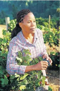  ??  ?? GRAPE STUFF: Stellekaya winemaker Ntsiki Biyela