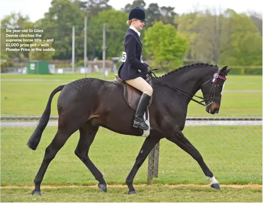  ?? ?? Six-year-old St Giles Devole clinches the supreme horse title – and £1,000 prize pot – with Phoebe Price in the saddle