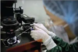  ?? MARK SCHIEFELBE­IN — THE ASSOCIATED PRESS ?? Zhou Xiaoqin installs a fine glass pipette into a sperm injection microscope in preparatio­n for injecting embryos with Cas9 protein and PCSK9 sgRNA at a lab in Shenzhen in southern China’s Guandong province. China’s government on Thursday ordered a halt to work by a medical team that claimed to have helped make the world’s first gene-edited babies.