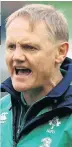  ??  ?? BIGGER FISH: Joe Schmidt might not extend his contract