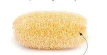  ?? READ MORE ?? grow your own bath sponge thisnzlife.co.nz