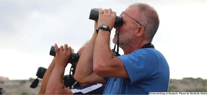  ??  ?? Birdwatchi­ng at Buskett. Photo by BirdLife Malta