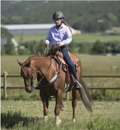  ??  ?? Cue your horse to go forward and then stop with your seat and rein aids just before you reach the area that triggers him to jump.