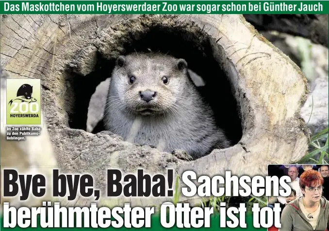  ??  ?? Im Zoo zählte Baba zu den Publikumsl­ieblingen.