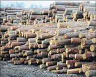  ?? SEAN KILPATRICK/THE CANADIAN PRESS ?? Logs are stacked at Murray Brothers Lumber Company woodlot in Madawaska, Ont., on April 25.