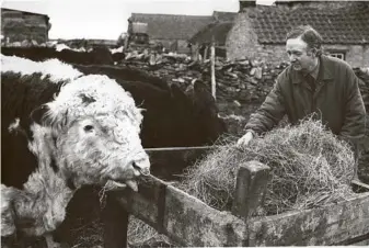  ??  ?? A vet’s life on the Yorkshire Dales is a 24-hour occupation in all weathers