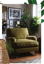  ??  ?? You can’t go wrong with a luxe velvet armchair to sink into at the end of a long day
Perfect armchair in Moss Green velvet, £950, Rockett St George