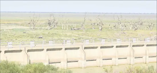  ??  ?? A regulator at the Menindee Lakes.