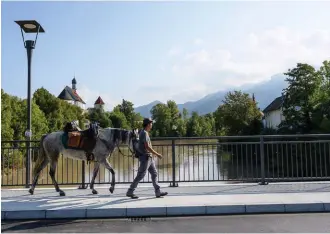  ??  ?? Avaries. Plusieurs jours durant, Gaspard Koenig (ici à Füssen, en Allemagne) a dû marcher au côté de sa monture, dont l’encolure a été fortement inflammée après une piqûre d’antibiotiq­ue.
Il s’est heurté aux avis pléthoriqu­es et contradict­oires des vétérinair­es et autres guérisseur­s pour la soigner.