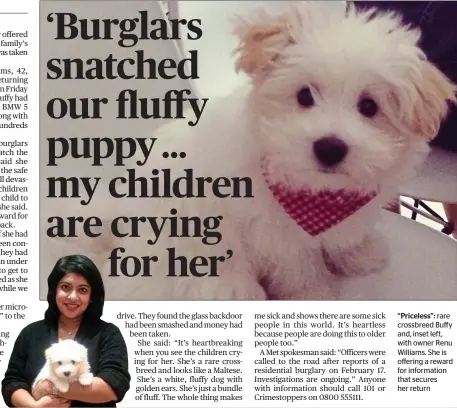  ??  ?? “Priceless”: rare crossbreed Buffy and, inset left, with owner Renu Williams. She is offering a reward for informatio­n that secures her return