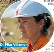  ??  ?? Dr Pilar Villamor