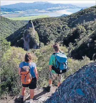  ?? Photos: ANDRIS APSE ?? Scenic stroll: The Great Barrier Island Walking Festival will take walkers in among the tree tops of the Kotuku Peninsula Sanctuary.