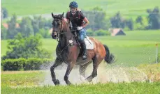  ?? SZ-FOTO: MAS ?? Beim Stil-Geländerit­t der Klasse A* als höchster Prüfung beim Vielseitig­keitsturni­er in Bach gingen 20 Reiter an den Start.