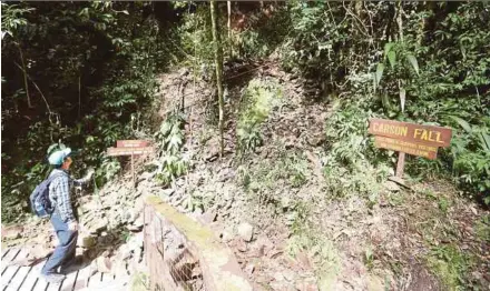  ?? KHAIRULL AZRY BIDIN PIC BY ?? Sabah Parks director Dr Jamili Nais inspecting the Mount Kinabalu summit trail yesterday.