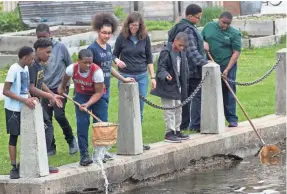  ?? MARK HOFFMAN / MILWAUKEE JOURNAL SENTINEL ?? Students from HOPE Christian School attempt to net aquatic insects during an outdoor science class provided by the Urban Ecology Center at the lagoon in Washington Park.
