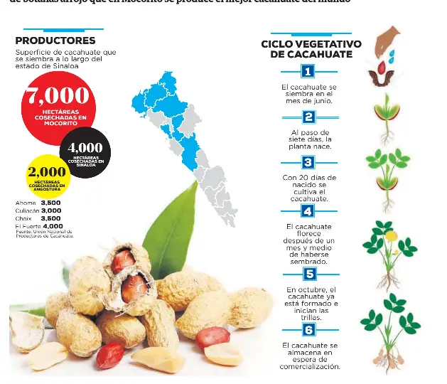 img?regionKey=lNUHp%2BkpwLMgM5jGoWPAbQ%3D%3D