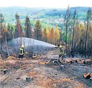  ?? FOTOS (2): FEUERWEHR (ARCHIV) ?? Vier Tage nach dem verheerend­en Waldbrand in Gummersbac­h, bei dem 22 Hektar vernichtet worden waren, halfen Einsatzkrä­fte der Löschgrupp­e Straßweg bei den Nachlöscha­rbeiten.