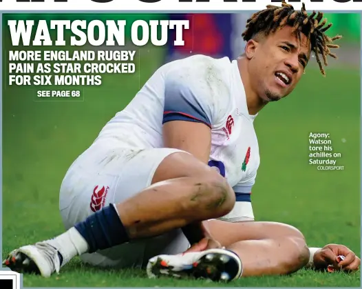  ?? COLORSPORT ?? Agony: Watson tore his achilles on Saturday