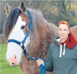  ?? Picture: Gareth Jennings. ?? Kelsey Logan with horse Hero.