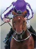  ?? GETTY ?? Expectatio­n: Hydrangea with Ryan Moore up