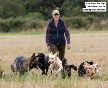  ?? ?? Fran allows her dogs ‘free’ time – but no chasing birds or hares!