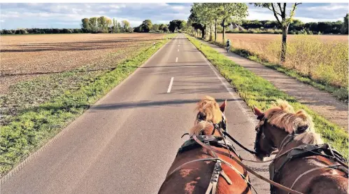  ?? FOTO: DOMINIK SCHNEIDER ?? Die Rheinische­n Kaltblüter Eberhard und Tilda zogen die Gäste im Planwagen durch die Urdenbache­r Kämpe.