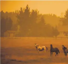  ??  ?? Der Rauch in British Columbia ist teilweise so dicht, dass er das Sonnenlich­t nicht durchlässt.