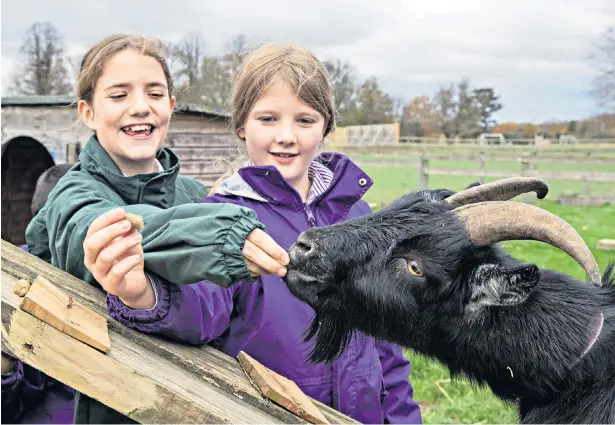  ??  ?? Mary and Chloe from York House feed the school’s pygmy goats