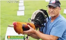 Dink Fair Sa Lyr Summit Derby Pressreader