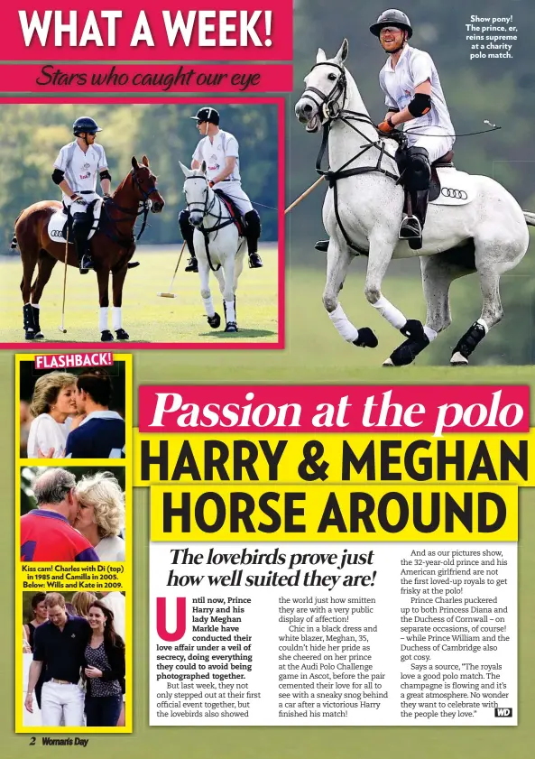  ??  ?? Show pony! The prince, er, reins supreme at a charity polo match.