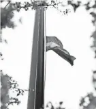  ?? ALBERT CESARE/THE ENQUIRER ?? The transgende­r flag is raised during a flag raising in recognitio­n of Internatio­nal Transgende­r Day of Visibility March 31 at City Hall in Cincinnati.