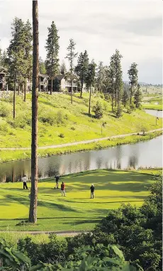  ?? PREDATOR RIDGE ?? The 17th tee on the Ridge Course, with the Falcon Point cottages tucked in the hills overlookin­g the hole, at Predator Ridge Golf Resort near Vernon.