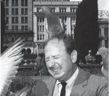  ?? The Chronicle 1963 ?? Herb Caen winces with a pigeon on his head during a promotion for “The Birds” with Alfred Hitchcock in Union Square.