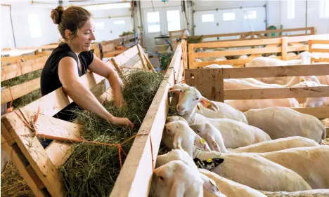  ?? ?? MARIE-CHANTAL HOUDE
Marie-chantal Houde aime les produits laitiers depuis qu’elle est enfant. Mais elle ne se doutait pas qu’un jour elle transforme­rait du lait de brebis en fromage et en yogourt.