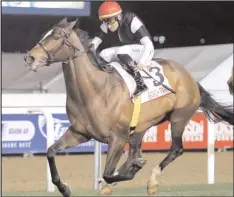  ??  ?? SEARCH PARTY’S victory in the Gr2 Post Merchants at Greyville on Friday night took Brett Crawford’s Champions Season tally to seven wins.