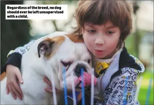  ??  ?? Regardless of the breed, no dog should ever be left unsupervis­ed with a child.