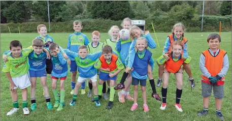  ??  ?? Happy campers at the Kilmacanog­ue GAA Club Cúl Camp. Photo: Paul Messitt Intermedia­te Hurling Championsh­ip