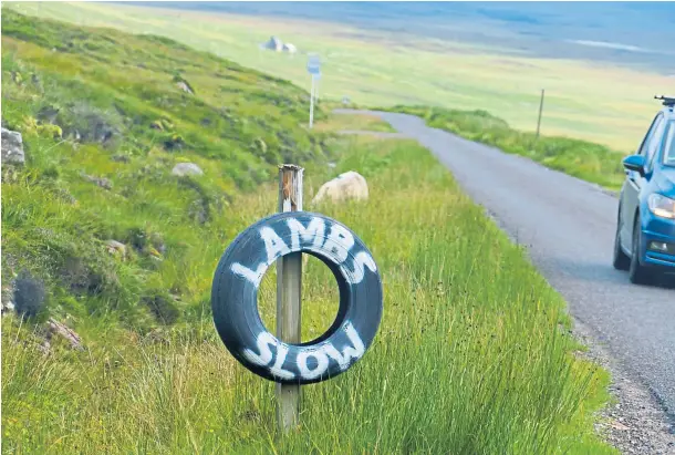  ?? ?? GO CAREFULLY: A home-made sign warns drivers there are others on the road in spring – no matter how remote the location is.