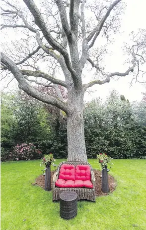  ??  ?? A majestic Garry oak is the centrepiec­e of the garden.