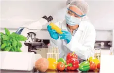  ?? ?? Materia. Estudiar y mejorar la calidad de los productos alimentici­os, se el centro de interé de la doctora Chávez González.