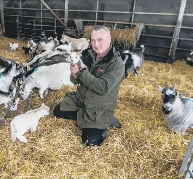  ?? ?? REAR WINDOW: The Nicholson family of South Yorkshire’s Cannon Hall
Farm return with their Channel 5 television series Springtime at Cannon Hall Farm which is also the title of their new book; left, brothers Rob and Dave Nicholson, with their small herd of pygmy goats; below from left, Rob and Dave Nicholson; Roger Nicholson, 78, with two of his three sons Dave, and Rob; Richard Nicholson, one of the three brothers who run the farm, in their farm shop .