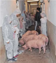  ?? SZ-FOTOS (2): PAKL ?? Ob Schweinezu­cht oder Getreidean­bau, beim Tag auf dem Bauernhof lernten die Besucher einiges zum Leben in der Landwirtsc­haft.